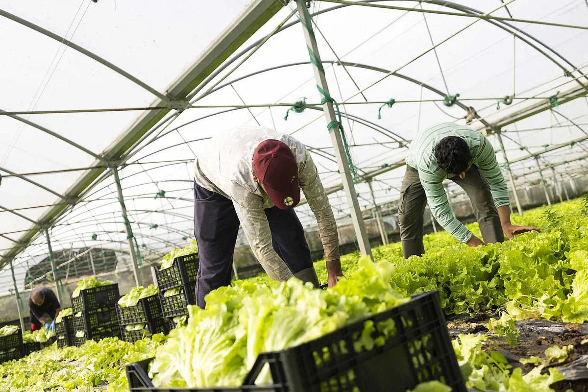 Bruxelas aprova 30 milhões de euros em apoios para agricultores e pescadores portugueses