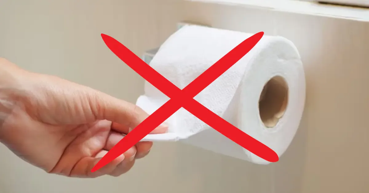 Fim do papel higiénico? Sanitas inteligentes dominam tendências globais para 2026