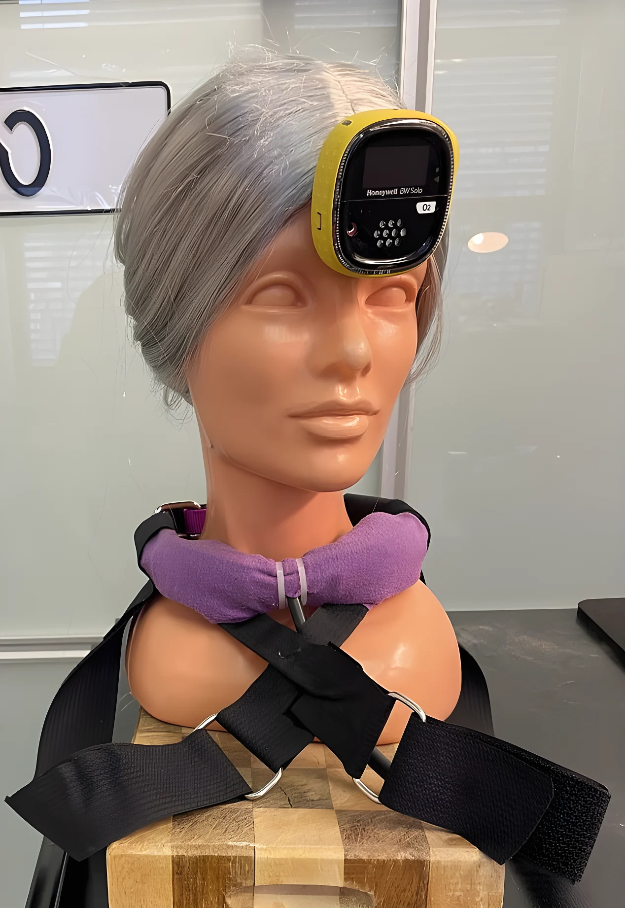 The collar, called